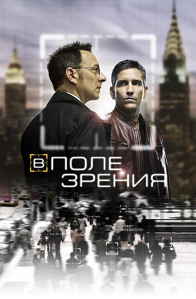 В поле зрения