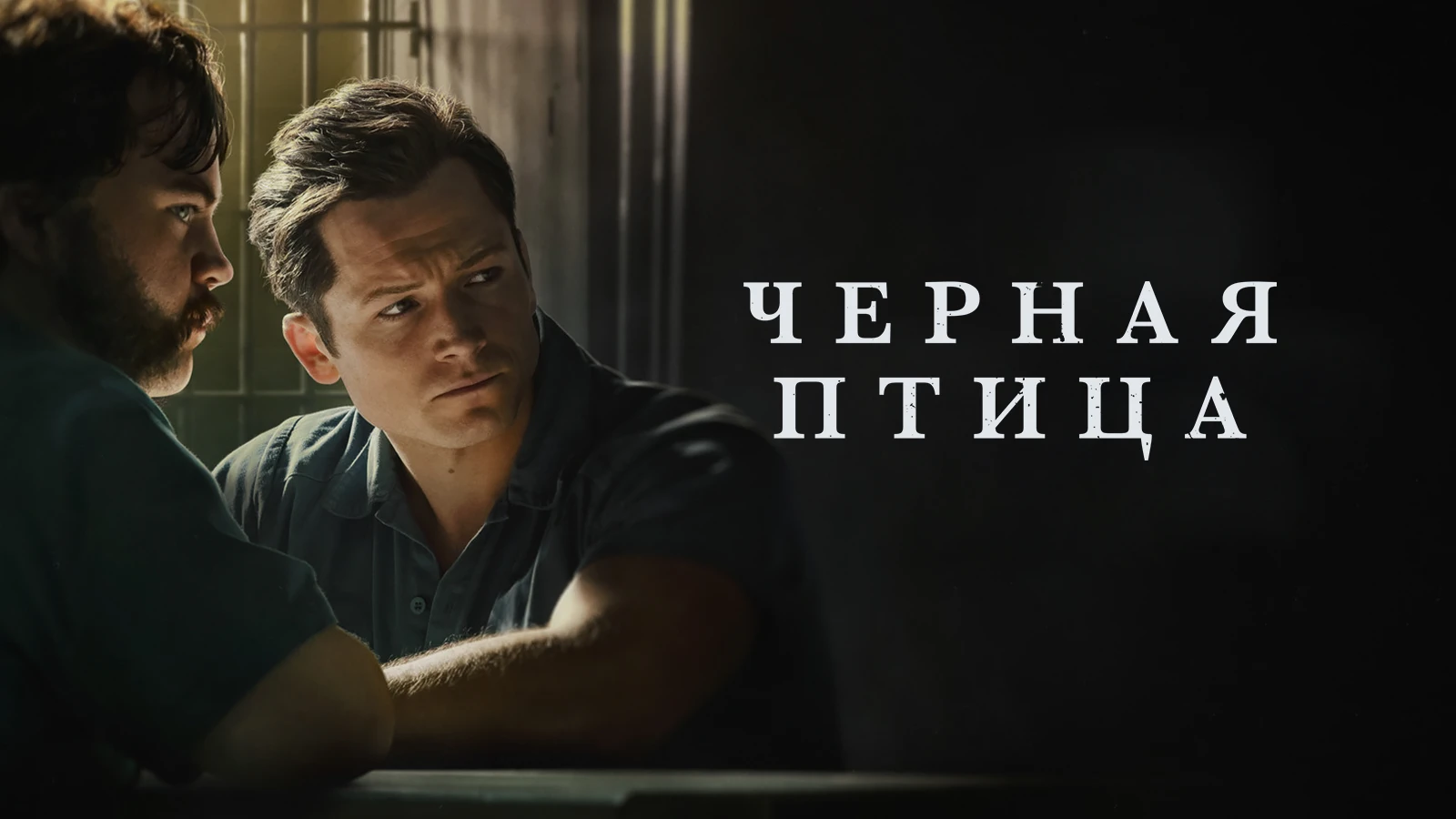 Чёрная птица